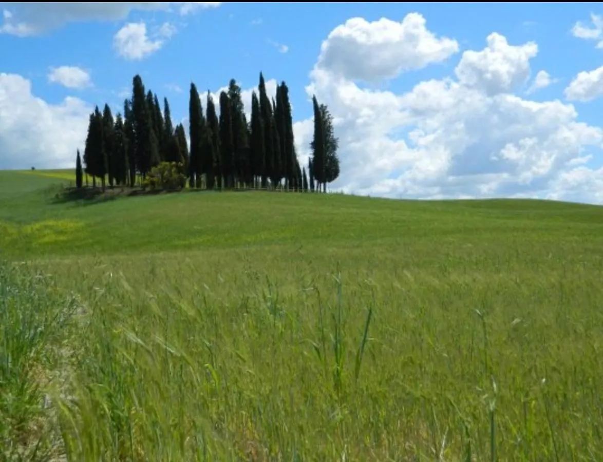 Cordella In Valdorcia Truffle And Olive Oil Resort Montalcino