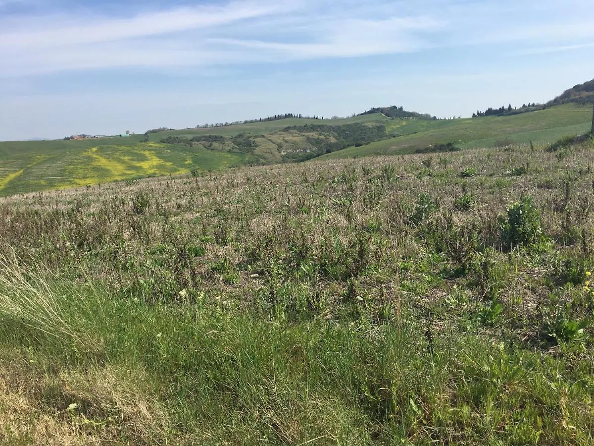 Cordella In Valdorcia Truffle And Olive Oil Resort Montalcino Italy