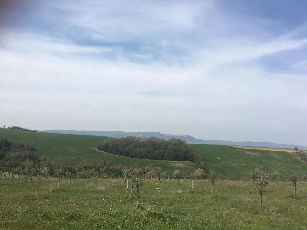 Cordella In Valdorcia Truffle And Olive Oil Resort Montalcino Italy