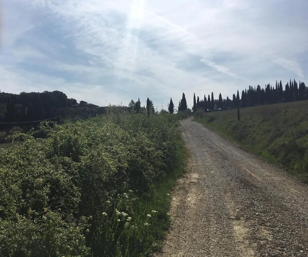Cordella In Valdorcia Truffle And Olive Oil Resort Montalcino