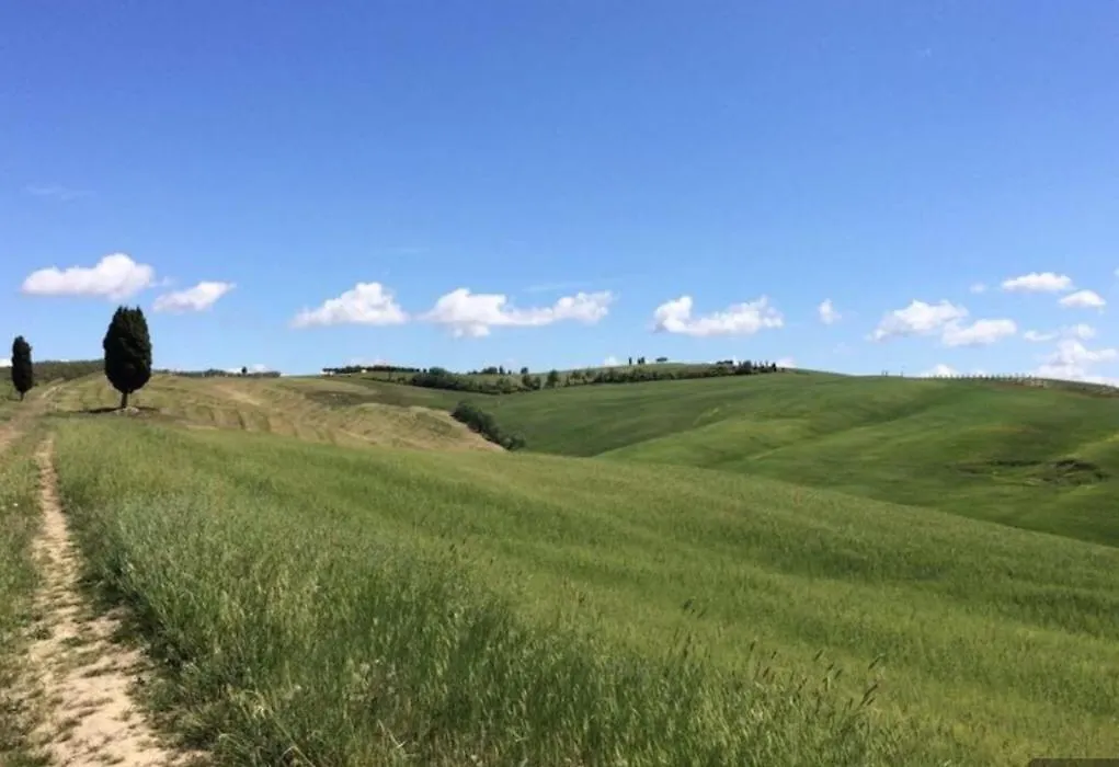Cordella In Valdorcia Truffle And Olive Oil Resort Montalcino