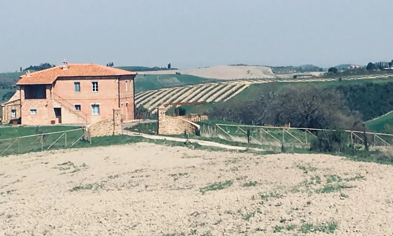 Cordella In Valdorcia Truffle And Olive Oil Resort Montalcino