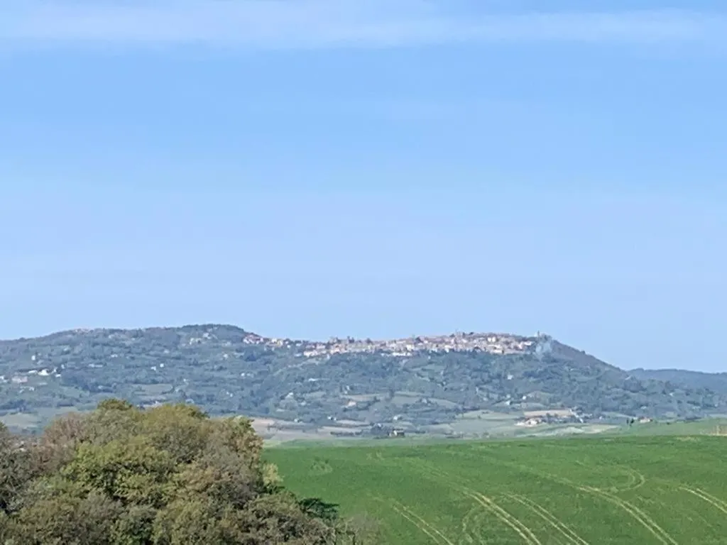 Cordella In Valdorcia Truffle And Olive Oil Resort Montalcino