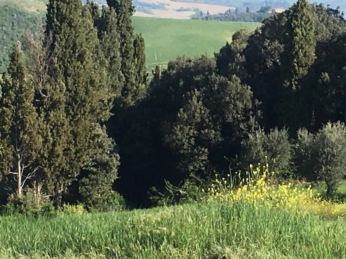 Cordella In Valdorcia Truffle And Olive Oil Resort Montalcino Itália